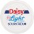 Daisy Light Sour Cream Perspective: top