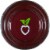 Beetology™ Beet + Berry Cold Pressed Juice Perspective: top