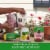 Miracle-Gro® Rose Plant Food Perspective: top