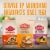 Arrowhead Mills Organic Buckwheat Pancake and Waffle Mix Perspective: top