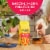 Café Bustelo Dark Roast Ground Coffee Perspective: top