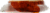 Cacique Enchilado Perspective: top