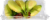 Mini Bananas Perspective: top