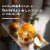 Angostura® Orange Bitters Perspective: top