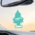 Little Trees® Bayside Breeze Car Air Fresheners Perspective: top