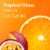 Emergen-C Zero Sugar Powder for Daily Immune Support Tropical Citrus Flavor Perspective: top
