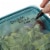 GoodCook® Meal Prep Two-Compartment Food Storage Containers - Turquoise Perspective: top