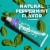 Tom's of Maine Whole Care Natural Toothpaste with Fluoride Peppermint Perspective: top
