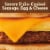 Jimmy Dean Sausage Egg and Cheese Maple Griddle Cake Sandwiches Perspective: top