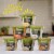 Panera Bread Ready-to-Heat Lobster Bisque Soup Cup Perspective: top