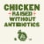 Panera Bread Ready-to-Heat Greek Style Chicken Soup Cup Perspective: top