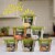 Panera Bread Ready-to-Heat Gluten Free Creamy Chicken & Wild Rice Soup Cup Perspective: top