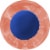 Sunkist Peach Soda Perspective: top