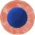 Sunkist Peach Soda Perspective: top