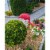 Union Products Outdoor Featherstone 38 In Tall Flamingo Yard Lawn Ornament, Pink Perspective: top