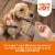 Milk-Bone Dunkin’ Vanilla Glaze Flavor Dog Biscuits With Other Natural Flavors Perspective: top