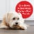 Milk-Bone Brushing Chews Daily Dental Dog Treats, Mini, 7.1 Ounces, 18 Bones Per Bag Perspective: top