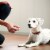 Milk-Bone MaroSnacks Dog Snacks - Small, 10-Ounce Perspective: top