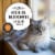 Nutro Wholesome Essentials Chicken Brown Rice Dry Cat Food Perspective: top