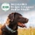 Nutro™ Beef & Brown Rice Adult Dry Dog Food Perspective: top