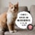 Nutro Wholesome Essentials Salmon Adult Dry Cat Food Perspective: top