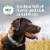 Nutro Natural Choice Large Breed Adult Dry Dog Food Lamb and Brown Rice Recipe Perspective: top