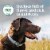 Nutro Natural Choice Large Breed Adult Dry Dog Food Lamb and Brown Rice Recipe Perspective: top