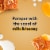 Suave Essentials Milk and Honey Body Wash Perspective: top