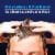 Suave Men Ocean Charge 2-in1 Shampoo and Conditioner Perspective: top