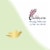 Dove Invisible Solid Women's Antiperspirant Deodorant Stick Original Clean Perspective: top