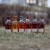 Aberlour Aged 16 Years Double Cask Matured Single Malt Scotch Whisky Perspective: top