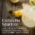 Caravella Limoncello Lemon Liqueur Perspective: top
