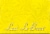 Laci Le Beau® Lemon Mint Super Dieter's Tea® Perspective: top