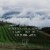 Kendall-Jackson Vintner's Reserve Syrah Red Wine Perspective: top