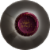 Belle Ambiance Pinot Noir Perspective: top