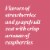 Bota Box Dry Rose Wine Perspective: top
