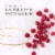 Diora La Belle Fete Monterey California Rose of Pinot Noir Rose Wine Perspective: top