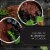 1924 Port Barrel Aged Pinot Noir California Red Wine Perspective: top