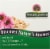 Nature's Answer Echinacea With Astragalus Herbal Blend Supplement Perspective: top