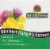 Nature's Answer Liver Support Vegetarian Capsules Perspective: top