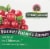 Nature's Answer Cranberry Fruit Vegetarian Capsules Perspective: top