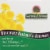 Nature's Answer Dandelion Root Vegetarian Capsules Perspective: top