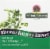 Nature's Answer Bacopa Vegetarian Capsules 500mg Perspective: top