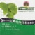 Nature's Answer Ginkgo Leaf Extract Vegetarian Capsules Perspective: top