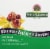 Nature's Answer® Horsechestnut Seed Vegetarian Capsules 250mg Perspective: top