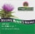 Nature's Answer® Milk Thistle Vegetarian Capsules Perspective: top