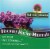 Nature's Answer® Plant Based Magnesium Vegetarian Capsules 500mg Perspective: top