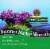 Nature's Answer Plant Based Magnesium 500 mg Dietary Supplement Perspective: top