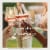 Ruffino Italian Prosecco Rosé Sparkling Wine Perspective: top