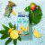 Franzia Tropical Pinot Grigio Refreshers Wine Box Perspective: top